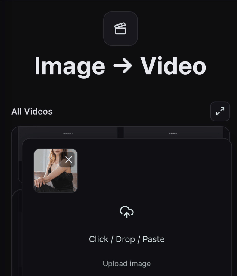 Image to video panel